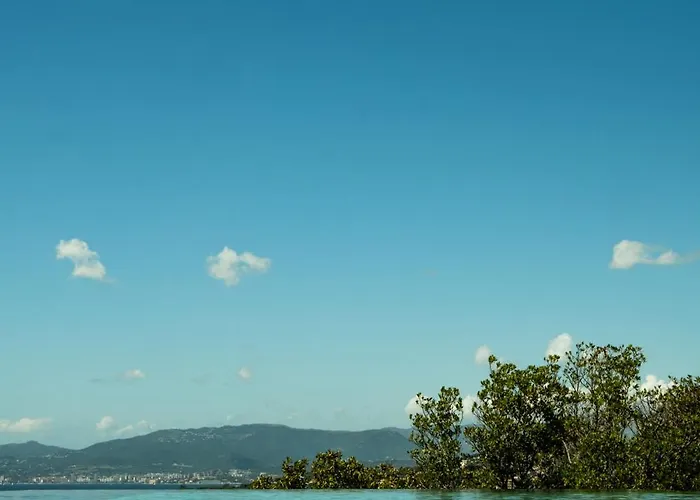 Imperiale Vue Piscine Pietrosella